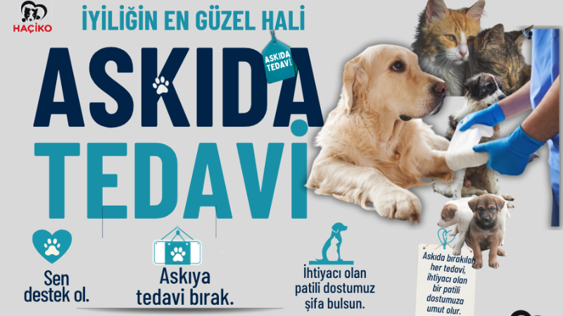 Askıda Tedavi Desteği